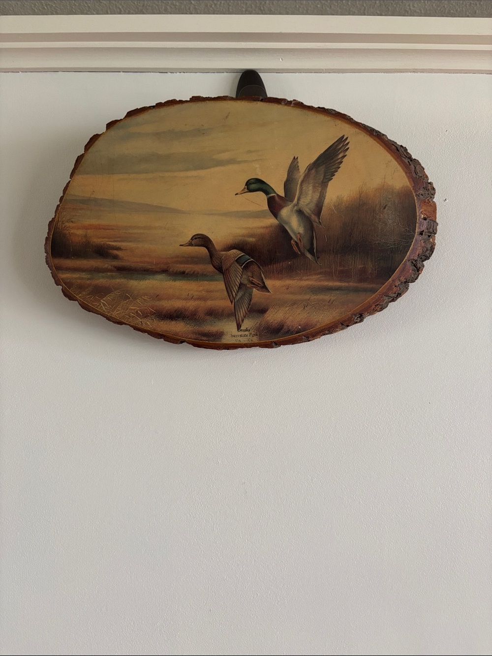 Wood Slice Duck Wall Art - Flight Scene